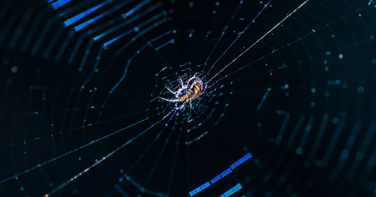 A close-up photograph of a spider spinning a web